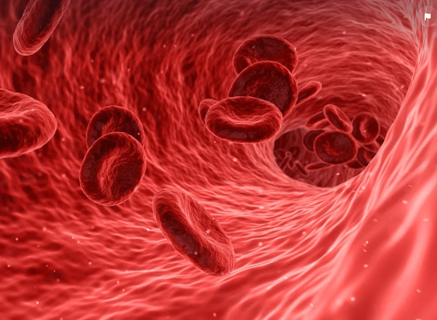 폐렴 감기인 줄 알았던 큰 병 실제 경험으로 알아보기