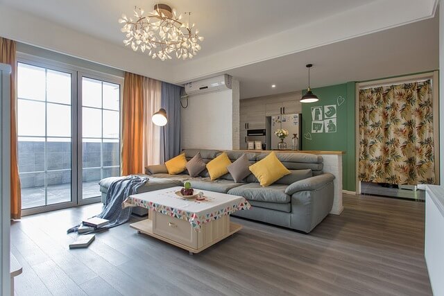 고양이 물 섭취 늘리는 식수기 운영 요령